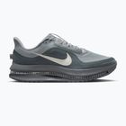 Herren-Laufschuhe Nike Pegasus Premium wolf grey/cool grey/anthracite/sail