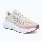 Laufschuhe Damen Under Armour Charged Rogue 5 castlerock/black/campus gold
