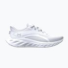 Damen-Laufschuhe Under Armour Ascend white/black/distant gray