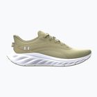 Herren-Laufschuhe Under Armour Ascend khaki base/summit white/castlerock