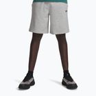 Under Armour Rival Herren-Trainingsshorts LW mod gray light heather/black