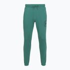 Herrenhose Under Armour Rival LW Graphic Jogger rack green/black