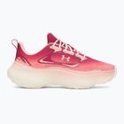 Damen Trainingsschuhe Under Armour Pulse claret/posh pink/posh pink