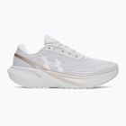 Laufschuhe für Damen Under Armour Velociti Sport halo gray/metallic buff/white