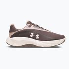 Damen Trainingsschuhe Under Armour Radiant TR peppercorn/bashful pink/apex pink