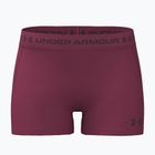Damen Trainingsshorts Under Armour HeatGear Shorty claret/ox blood