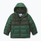 Gefütterte Jacke Kinder Columbia Pike Lake II Hooded rain forest/greenscape
