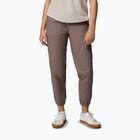 Herren Trekkinghose Columbia ROC Ripstop Jogger iron