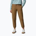 Herren-Trekkinghose Columbia ROC Ripstop Jogger Delta