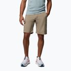 Herren-Trekking-Shorts Columbia Silver Ridge Utility Cargo tusk