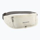Salomon Pulse Sling Eiszapfen / Kastlerock Laufgürtel