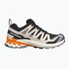 Herren-Laufschuhe Salomon XA Pro 3D V9 black/gull