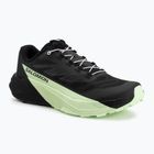 Herren-Laufschuhe Salomon Pulsar black/black/patina green
