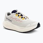 Herren-Laufschuhe Salomon Aero Blaze 3 Gravel GTX vanilla ice/astral aura/lemon