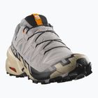 Herren-Laufschuhe Salomon Speedcross 6 GTX gull/white pepper/schwarz