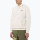 Herrenpullover Salomon Chest Logo Hoodie whisper white