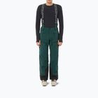 Herren-Skihose Salomon Spectral Green Gables