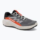 Herren-Laufschuhe Salomon Alphaglide GTX castlerock/lunar rock