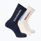 Socken Salomon Everyday Crew 3 pairs spellbound/vanilla ice/lunar rock