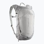 Wanderrucksack Salomon Trailblazer 10 l cloudburst/paloma/silver