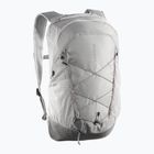 Wanderrucksack Salomon XT 25 and paloma/cloudburst