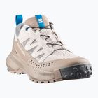 Herren-Trekkingschuhe Salomon Techamphibian 5 rainy day/desert tan/mykonos blue