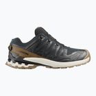 Herren-Laufschuhe Salomon XA PRO 3D V9 GTX Lifelong black/coyote brown/vanilla ice