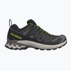 Laufschuhe für Herren Salomon XA Pro 3D V9 black/dark gull gray/acid lime