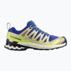 Herren-Laufschuhe Salomon XA Pro 3D V9 bluing/bog/acid lime