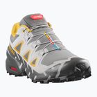 Laufschuhe Salomon Speedcross 6 20 Years Q2 castelrock/asphalt/arrowwood