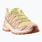 Damen-Laufschuhe Salomon XA Pro 3D V9 endive/burro/almond cream