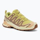 Damen-Laufschuhe Salomon XA Pro 3D V9 endive/burro/almond cream