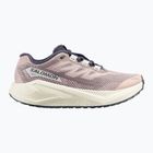 Damen-Laufschuhe Salomon Aero Blaze 3 GRVL shadow gray/vanilla ice/9iron