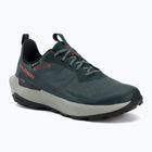 Wanderschuhe Herren Salomon Elixir Activ GTX scarab/green gable