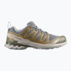 Herren-Laufschuhe Salomon XA Pro 3D V9 sedona sage/plantation/paloma