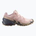 Laufschuhe für Damen Salomon Speedcross 6 tapioca/shadow gray