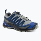 Herren-Laufschuhe Salomon XA Pro 3D V9 wrought iron/spellbound
