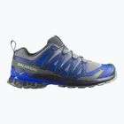Herren-Laufschuhe Salomon XA Pro 3D V9 wrought iron/spellbound