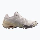Herren-Laufschuhe Salomon Speedcross 6 silver cloud/paloma