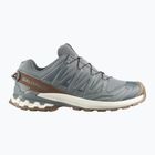 Herren-Laufschuhe Salomon XA Pro 3D V9 GTX Lifelong sedona sage/coyote brown