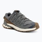Herren-Laufschuhe Salomon XA Pro 3D V9 GTX Lifelong sedona sage/coyote brown