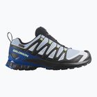 Herren-Laufschuhe Salomon XA Pro 3D V9 GTX Icon black/brunnera blue