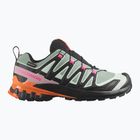 Laufschuhe für Damen Salomon XA Pro 3D V9 GTX Icon black/green milieu