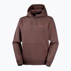 Laufsweatshirt für Herren Salomon Shortney Hoodie shopping bag