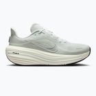 Laufschuhe für Damen Nike Winflo 12 off white/barely green/metallic silver