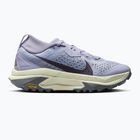 Laufschuhe für Damen Nike ACG Zegama ghost/sea glass/smoke grey/cement grey