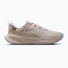 Herren-Laufschuhe Nike Juniper Trail 2 GORE-TEX cream Ii/light orewood brown