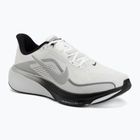 Herren-Laufschuhe Nike Pegasus 42 summit white/metallic silver-photon dust
