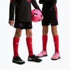 Kinder-Fußballshorts Nike Paris Saint-Germain Strike black/hyper royal/global red/global red