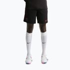 Herren-Fußballshorts Nike Paris Saint-Germain Dri-Fit ADV Strike Elite black/global red/hyper royal/global red